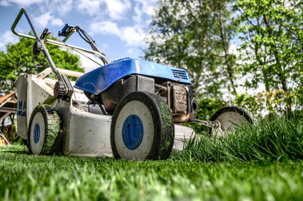 lawn mower, nature, grass